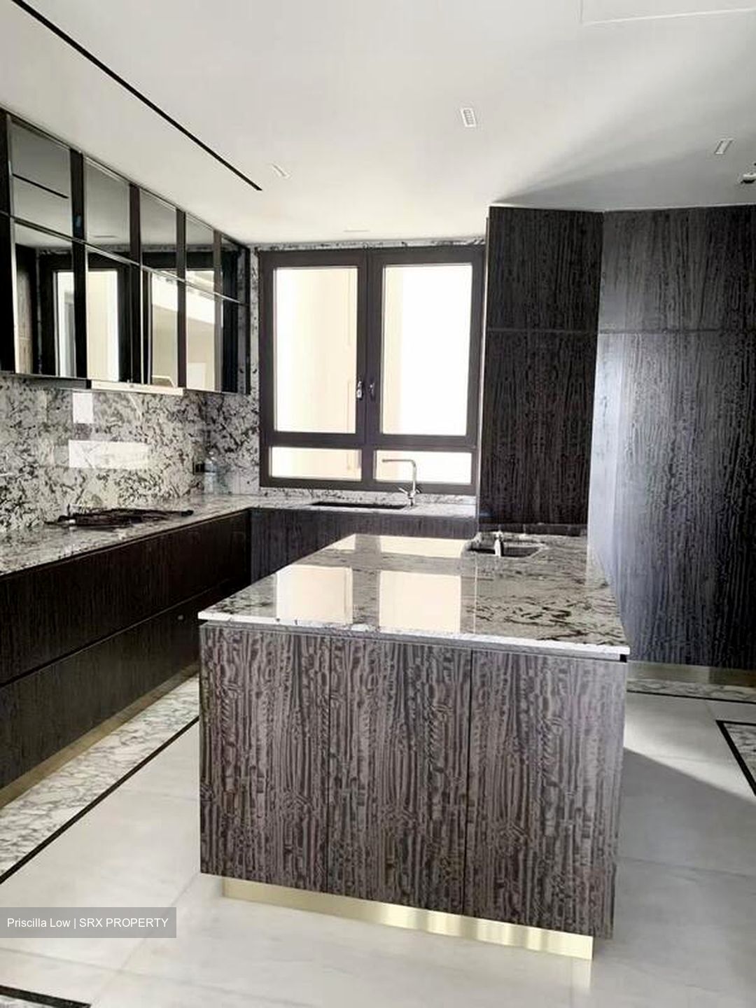 Ardmore Park (D10), Condominium #502468791